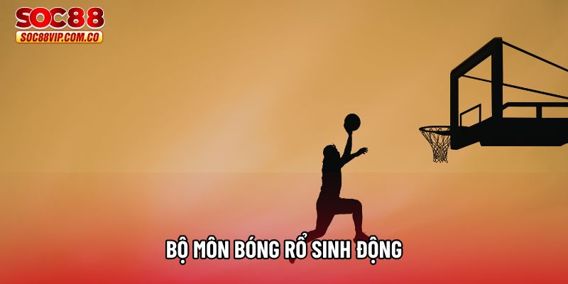Bộ môn bóng rổ sinh động