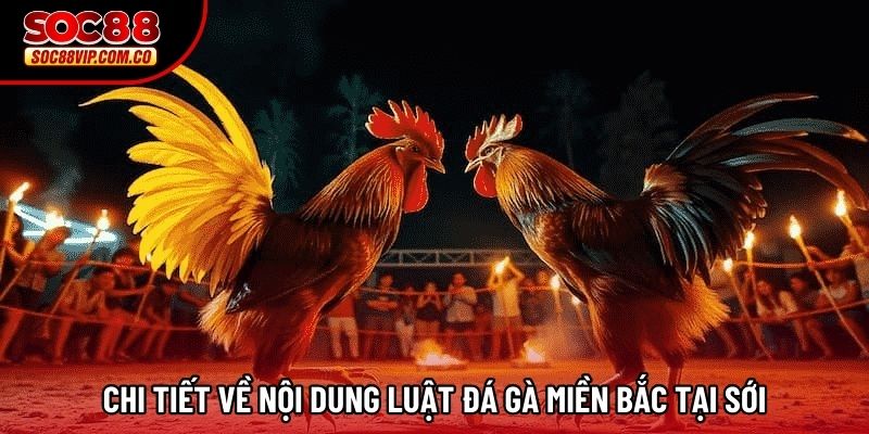 Chi tiết về nội dung luật đá gà miền bắc tại sới