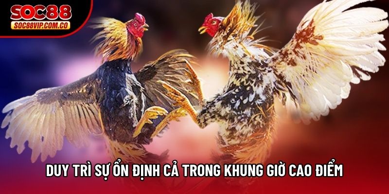 Duy trì sự ổn định cả trong khung giờ cao điểm