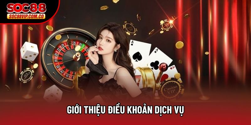 Giới thiệu điều khoản dịch vụ