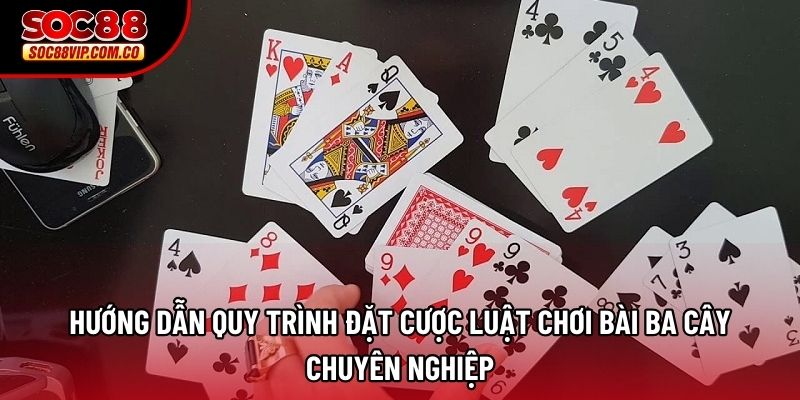 Hướng dẫn quy trình đặt cược luật chơi bài ba cây chuyên nghiệp Hướng dẫn quy trình đặt cược luật chơi bài ba cây chuyên nghiệp
