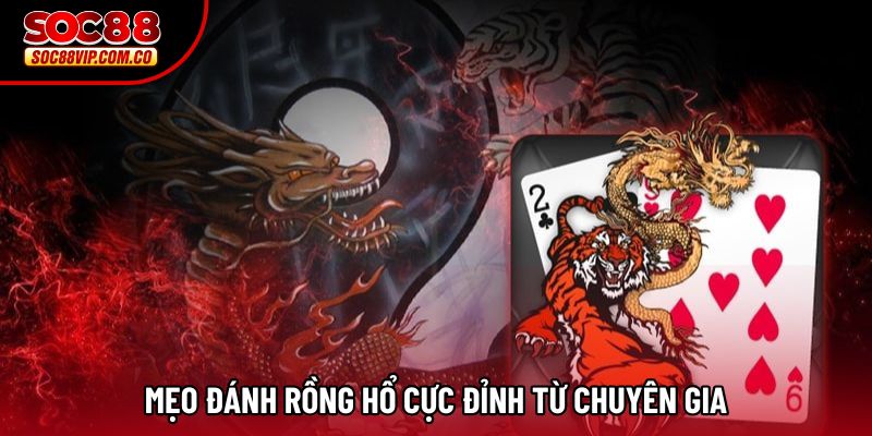 Mẹo đánh rồng hổ cực đỉnh từ chuyên gia