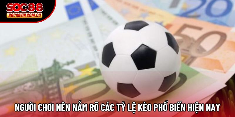 Người chơi nên nắm rõ các tỷ lệ kèo phổ biến hiện nay