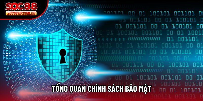 Tổng quan chính sách bảo mật