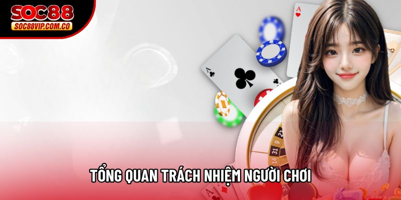 Tổng quan trách nhiệm người chơi Tổng quan trách nhiệm người chơi