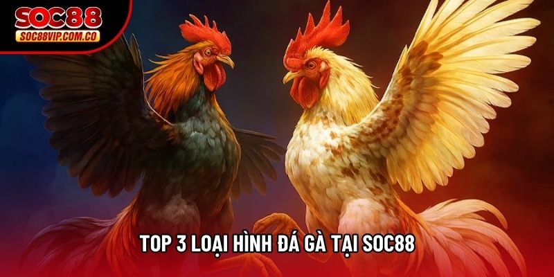 Top 3 loại hình đá gà tại Soc88