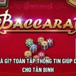 Baccarat Là Gì? Toàn Tập Thông Tin Giúp Chiến Thắng Cho Tân Binh
