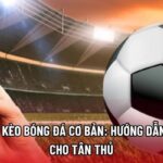 Cách đọc kèo bóng đá cơ bản: Hướng dẫn chi tiết cho tân thủ