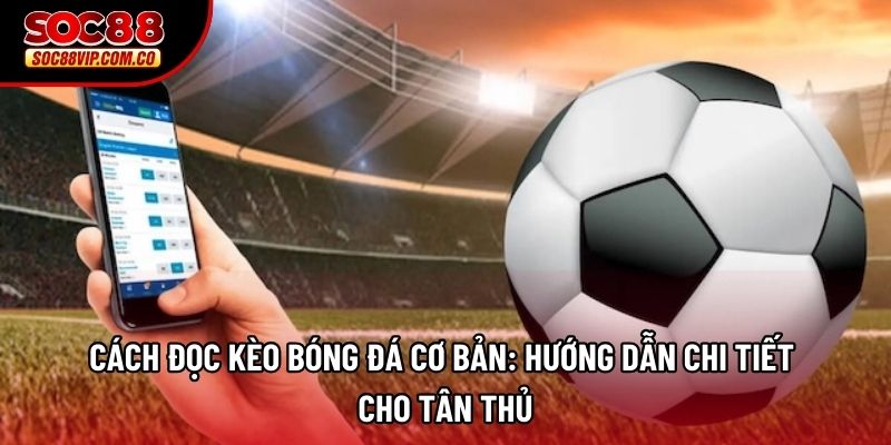 Cách đọc kèo bóng đá cơ bản: Hướng dẫn chi tiết cho tân thủ
