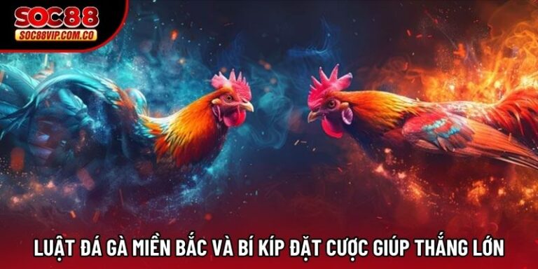 Luật Đá Gà Miền Bắc Và Bí Kíp Đặt Cược Giúp Thắng Lớn